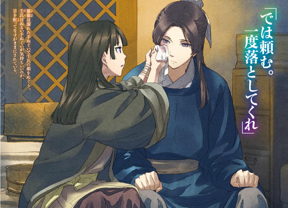 薬屋のひとりごと 5 - the apothecary diaries 5 (light novel)