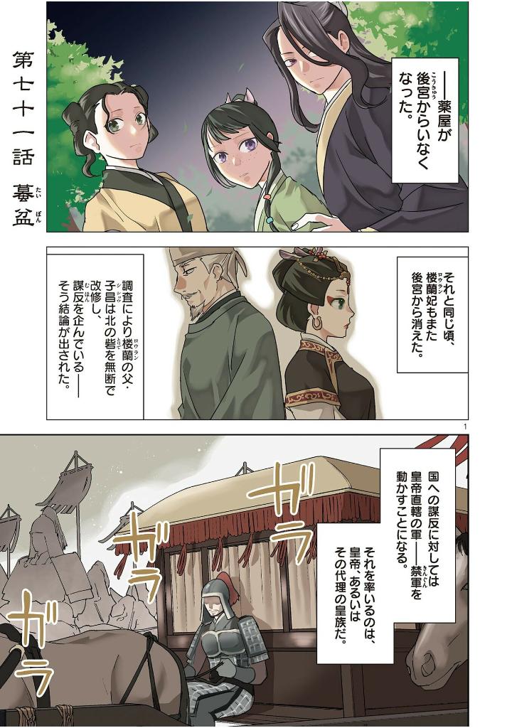 薬屋のひとりごと~猫猫の後宮謎解き手帳~ 18 - kusuriya no hitorigoto - maomao no koukyuu nazotoki techou 18