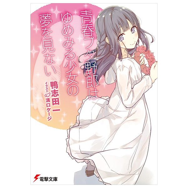 青春ブタ野郎はゆめみる少女の夢を見ない - seishun buta yaro wa yumemiru shojo no yume wo minai (light novel)