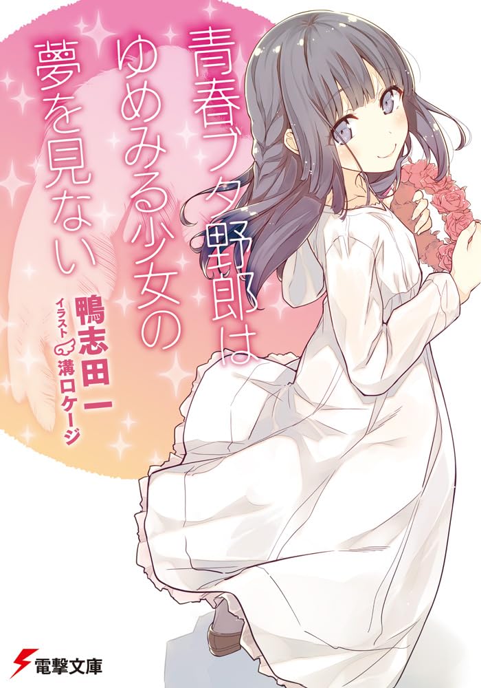 青春ブタ野郎はゆめみる少女の夢を見ない - seishun buta yaro wa yumemiru shojo no yume wo minai (light novel)