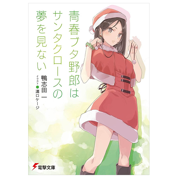 青春ブタ野郎はサンタクロースの夢を見ない - seishun buta yaro wa santa claus no yume wo minai (light novel)