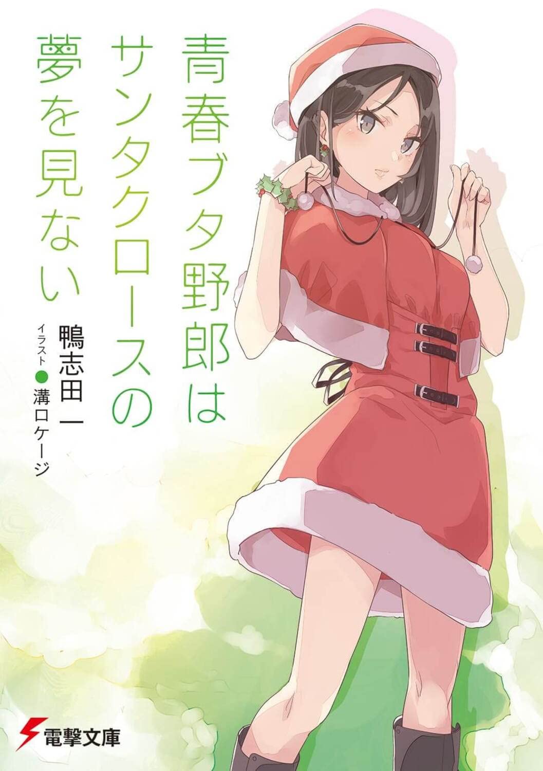 青春ブタ野郎はサンタクロースの夢を見ない - seishun buta yaro wa santa claus no yume wo minai (light novel)