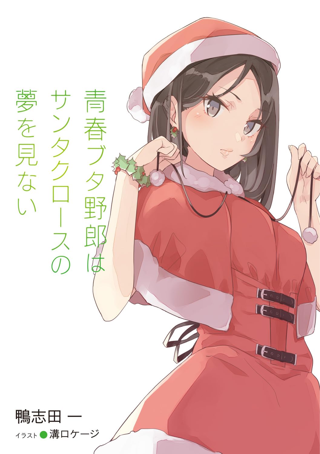 青春ブタ野郎はサンタクロースの夢を見ない - seishun buta yaro wa santa claus no yume wo minai (light novel)