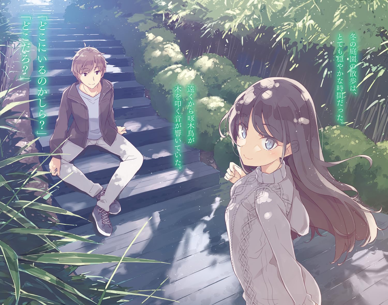 青春ブタ野郎はサンタクロースの夢を見ない - seishun buta yaro wa santa claus no yume wo minai (light novel)