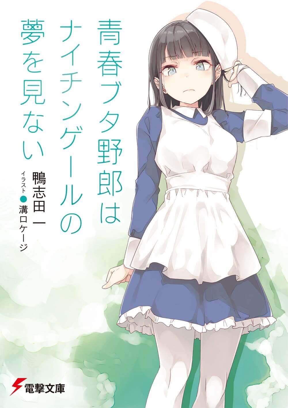 青春ブタ野郎はナイチンゲールの夢を見ない - seishun buta yaro wa naichingeru no yume wo minai (light novel)