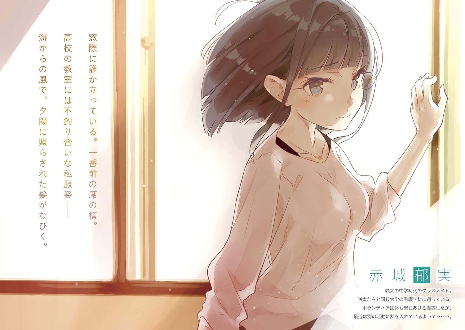 青春ブタ野郎はナイチンゲールの夢を見ない - seishun buta yaro wa naichingeru no yume wo minai (light novel)
