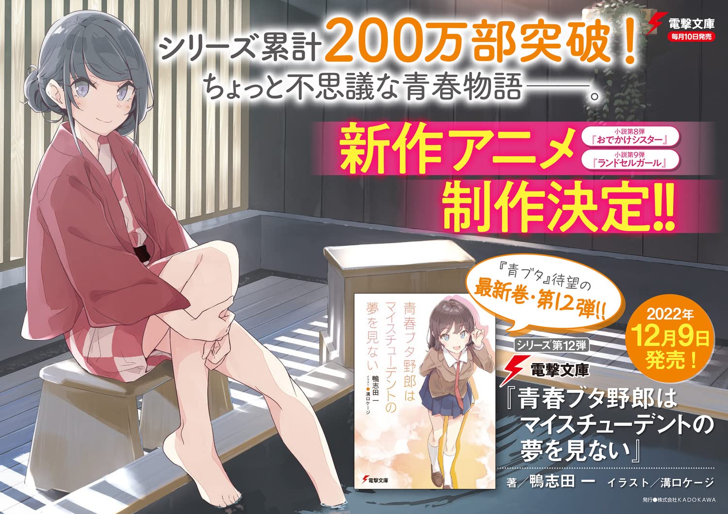 青春ブタ野郎はマイスチューデントの夢を見ない - seishun buta yaro wa my student no yume wo minai (light novel)