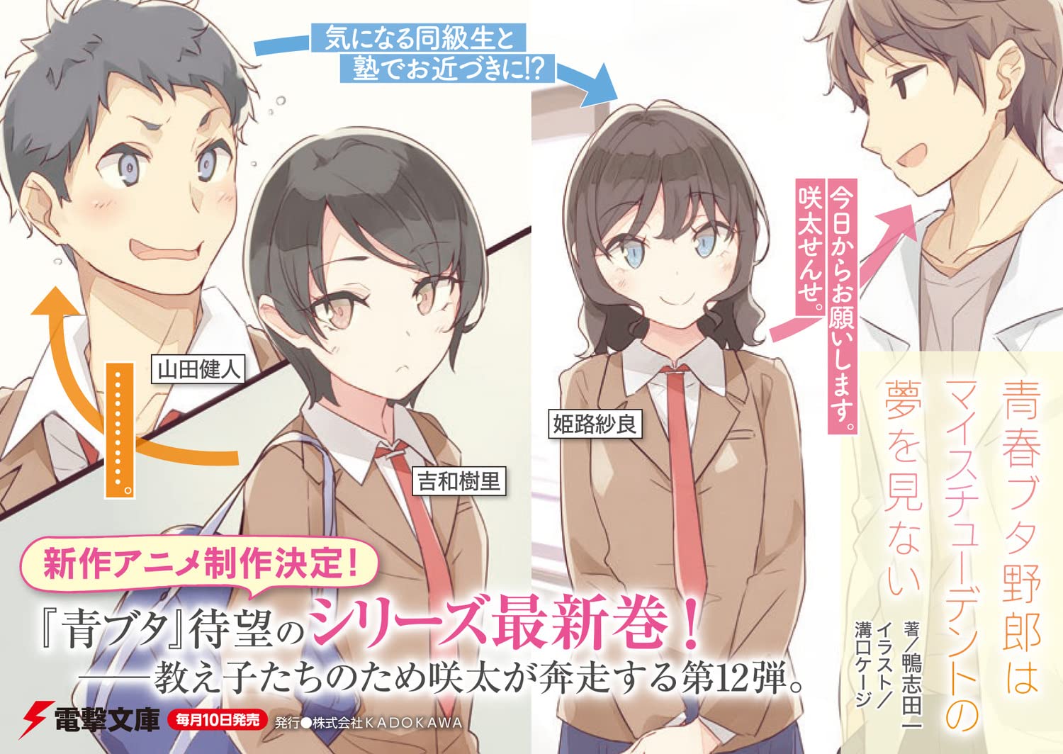 青春ブタ野郎はマイスチューデントの夢を見ない - seishun buta yaro wa my student no yume wo minai (light novel)