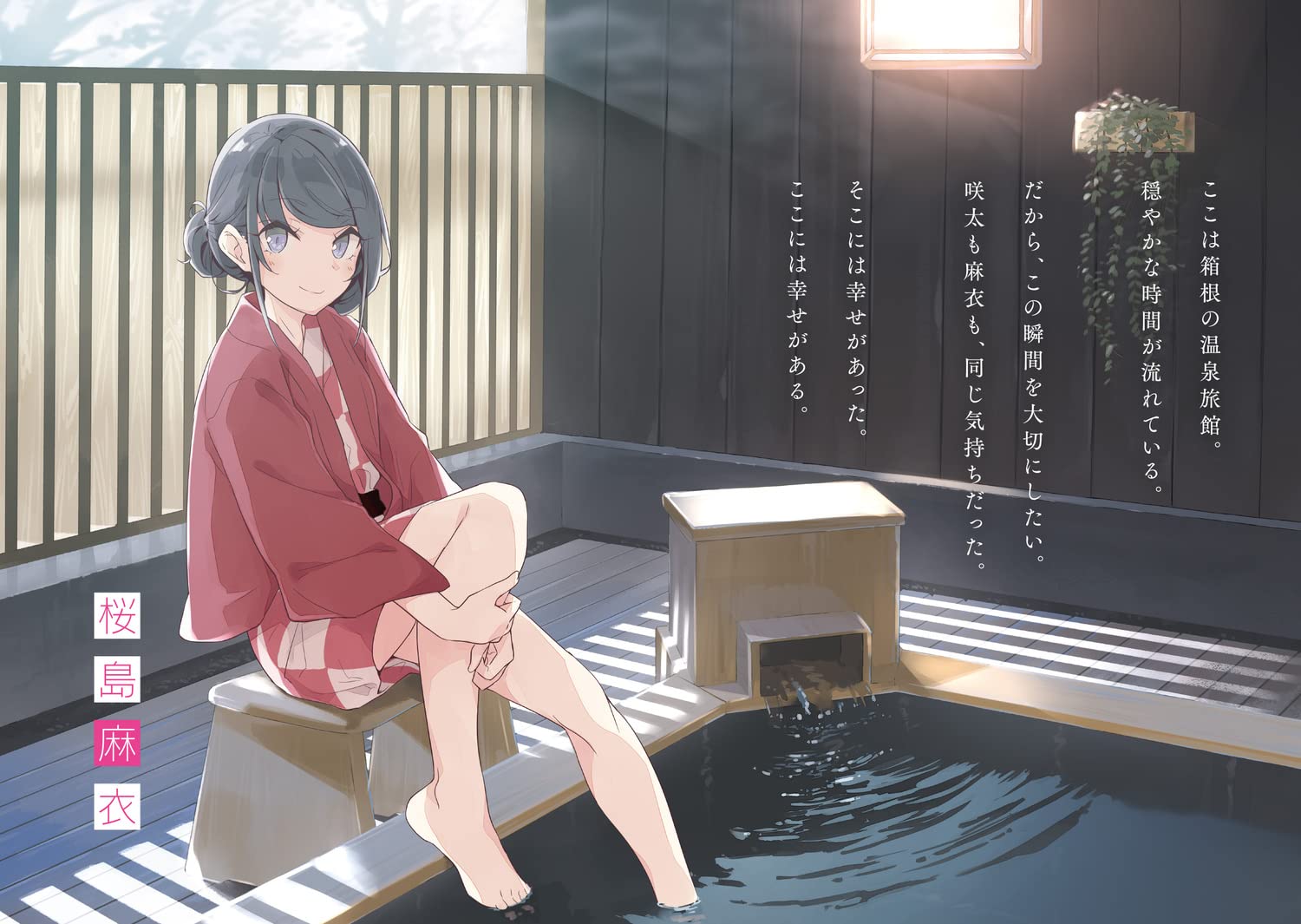 青春ブタ野郎はマイスチューデントの夢を見ない - seishun buta yaro wa my student no yume wo minai (light novel)