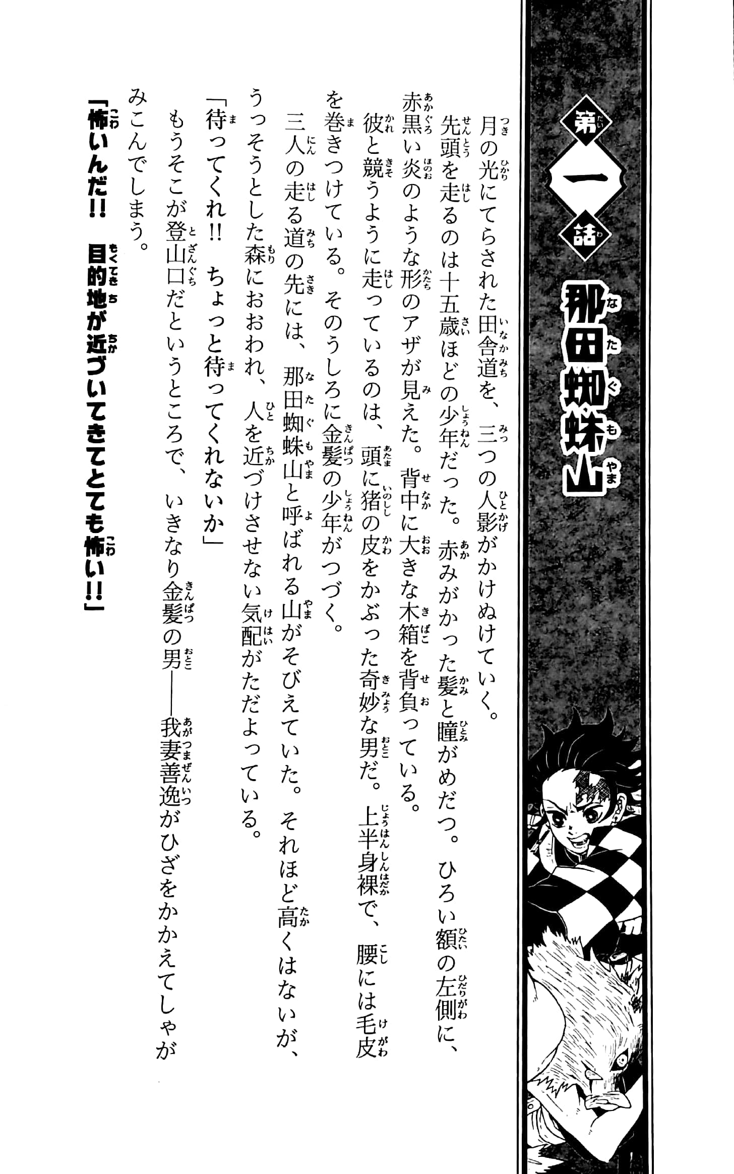 鬼滅の刃 ノベライズ ~ きょうだいの絆と鬼殺隊編 ~ kimetsu no yaiba noberaizu kyou dai no kizuna to oni