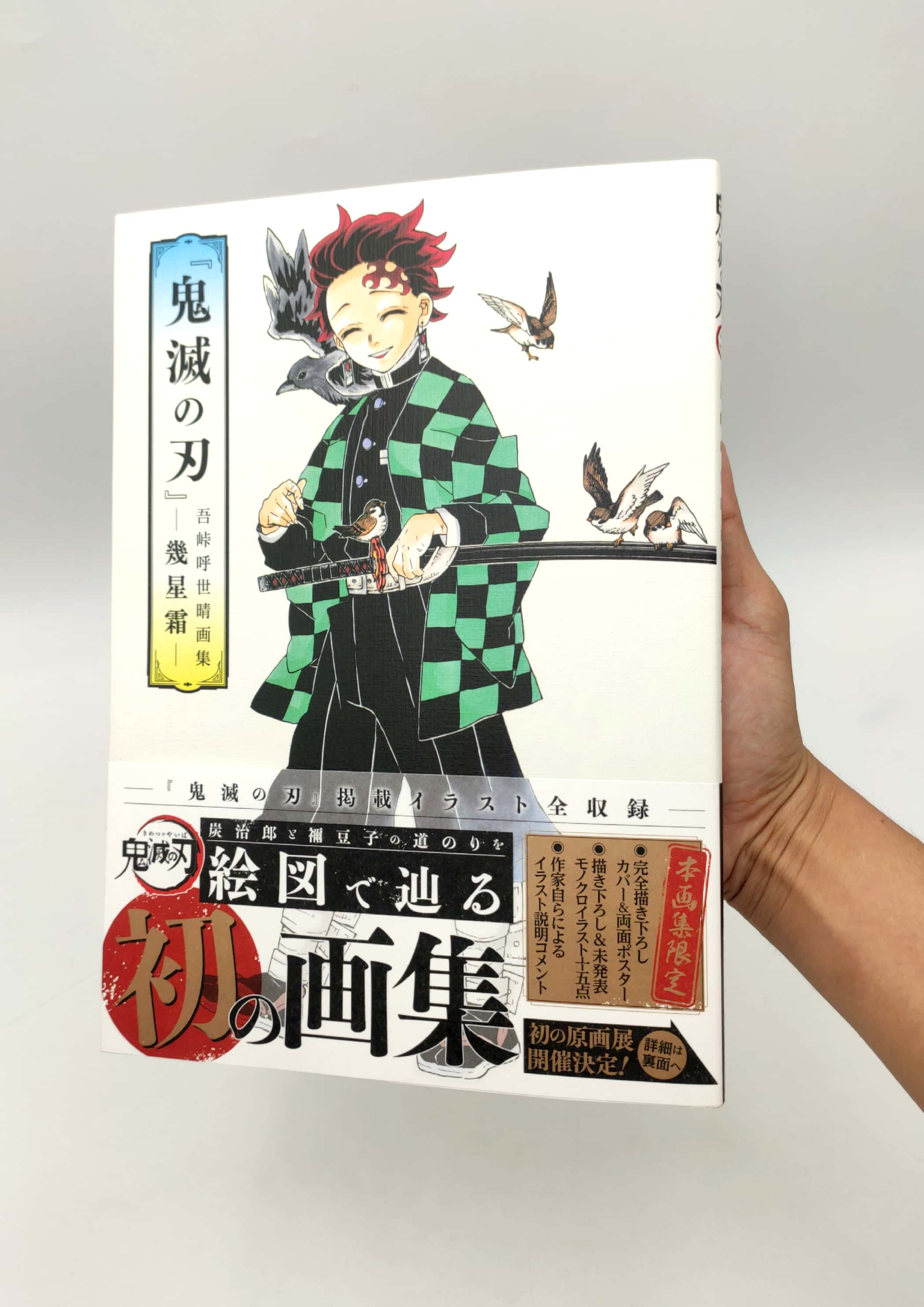 鬼滅の刃』吾峠呼世晴画集―幾星霜― “ kimetsu no yaiba ” waretouge ko yo hare gashuu - ikuseisou -