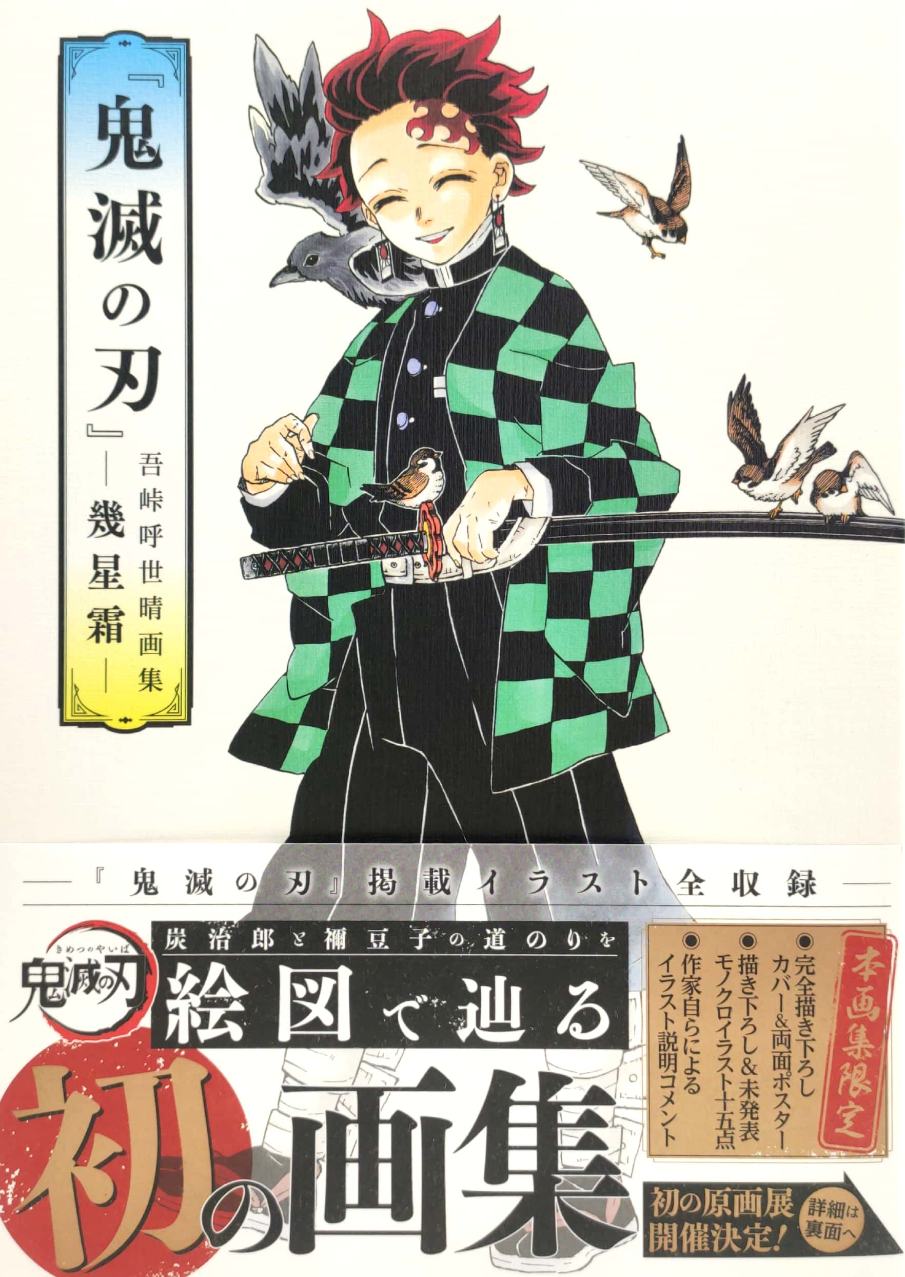 鬼滅の刃』吾峠呼世晴画集―幾星霜― “ kimetsu no yaiba ” waretouge ko yo hare gashuu - ikuseisou -