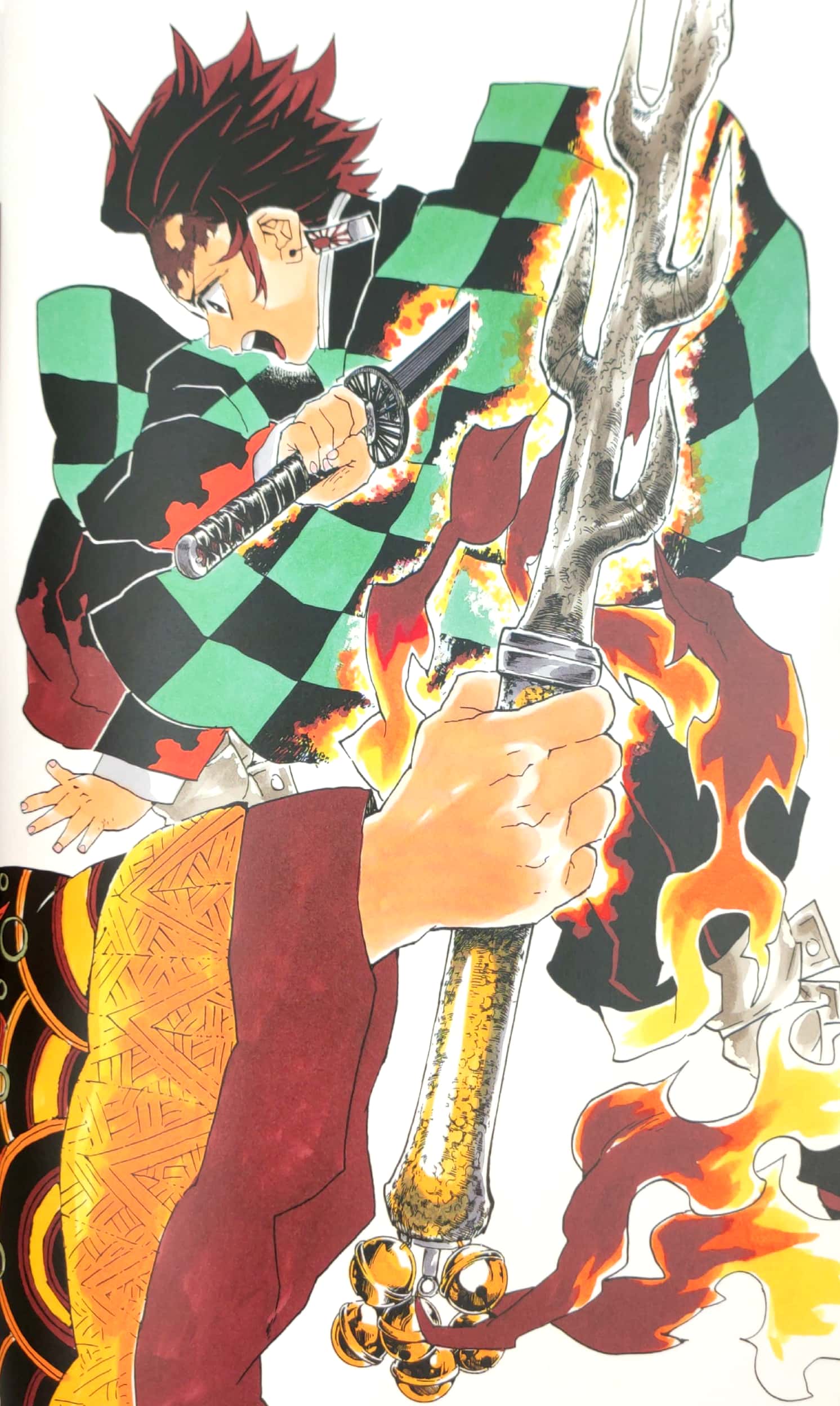 鬼滅の刃』吾峠呼世晴画集―幾星霜― “ kimetsu no yaiba ” waretouge ko yo hare gashuu - ikuseisou -