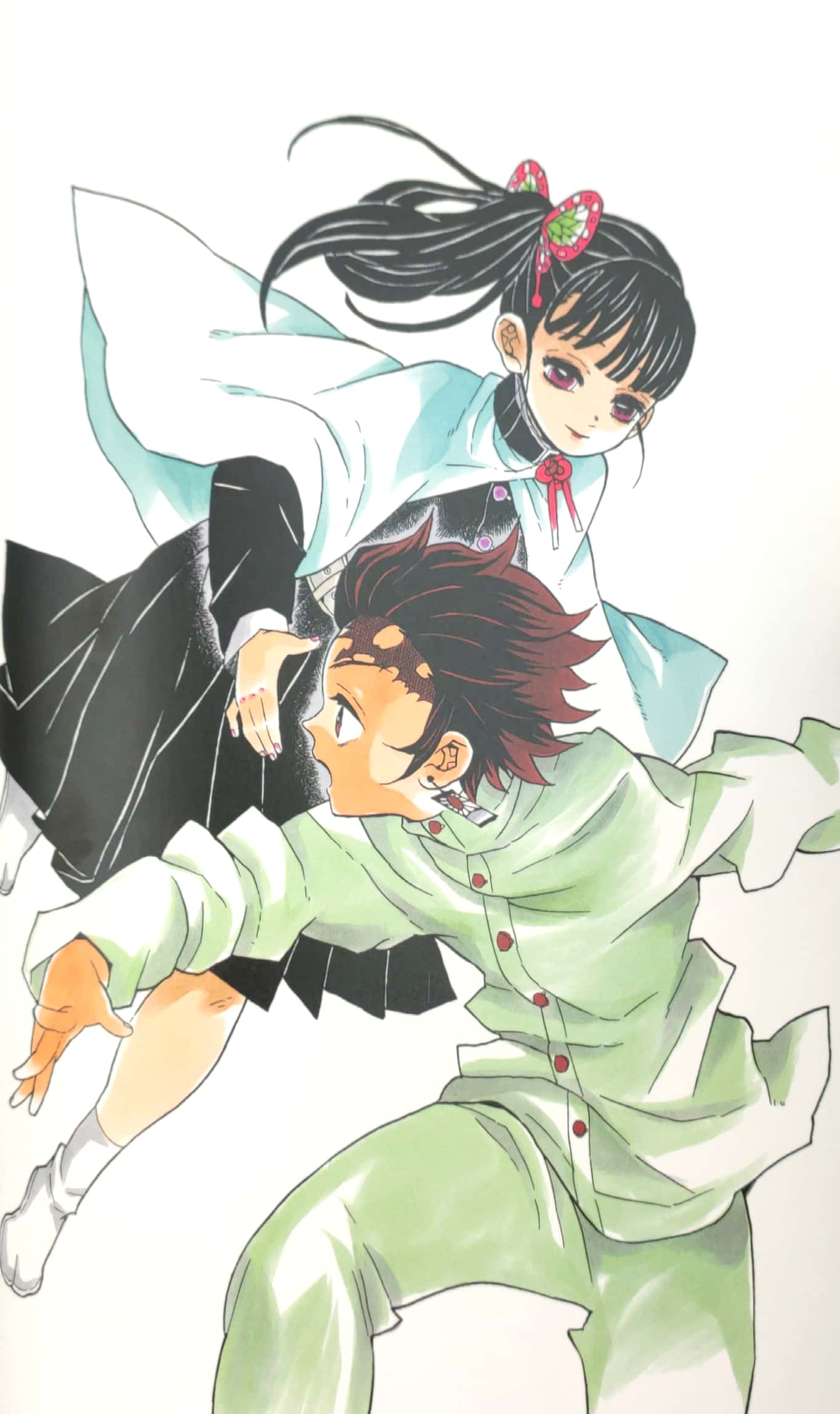 鬼滅の刃』吾峠呼世晴画集―幾星霜― “ kimetsu no yaiba ” waretouge ko yo hare gashuu - ikuseisou -