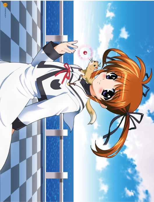 魔法少女リリカルなのは メモリアルビジュアルコレクション - Mahou Shoujo Ririkaruna No Wa Memoriarubijua - Magical Girl Lyrical Nanoha Memorial Visual Collection