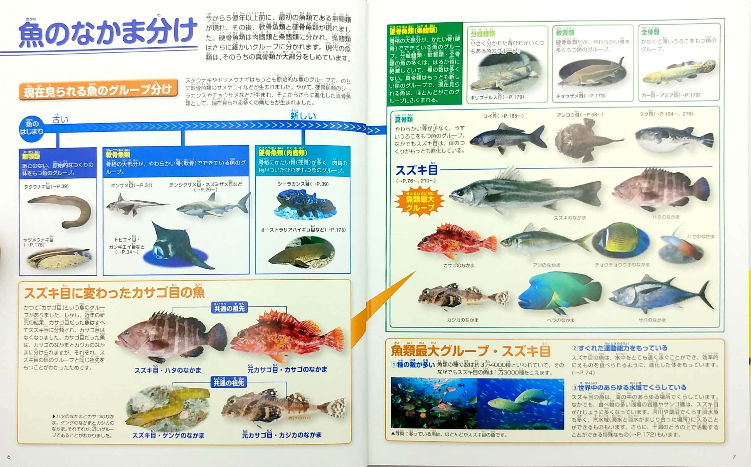 魚 新訂版 (講談社の動く図鑑move) sakana shin tei ban dvd tsuki